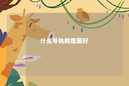 什么导轨精度最好 