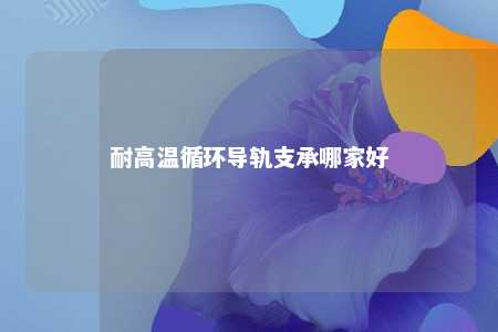 耐高温循环导轨支承哪家好 